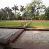 Maintenance of Modi Temple Lawns, Modinagar